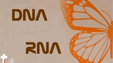 کیت های DNA و RNA جدید