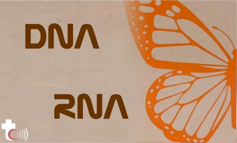 کیت های DNA و RNA جدید