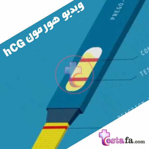 نقش هورمون HCG - ویدیو انیمیشن معرفی تست بارداری