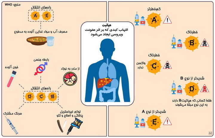 انواع هپاتیت و راه های انتقال ویروس