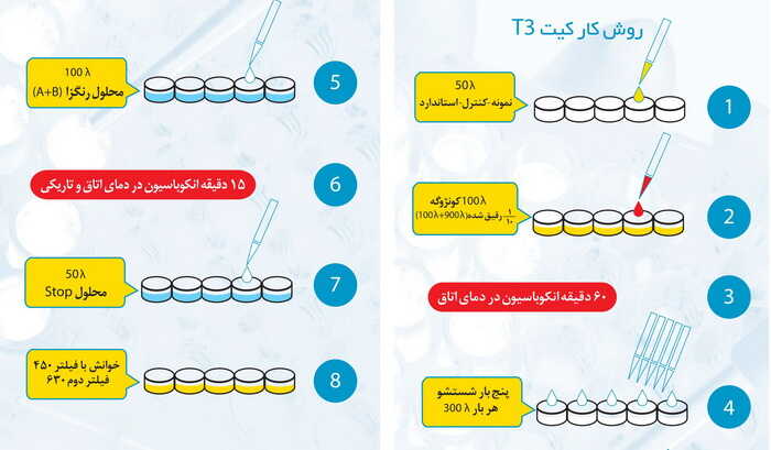 شماتیک و روش کار با کیت تیروئید تی3