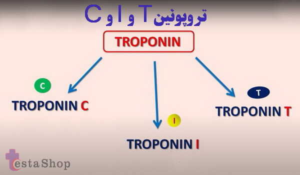 انواع تروپونین C و I و T