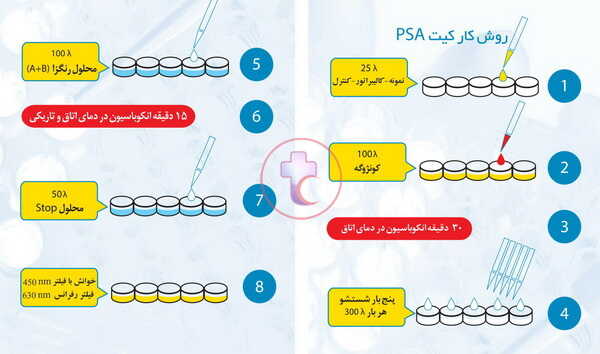 مراحل 8 گانه کار با کیت PSA الایزا