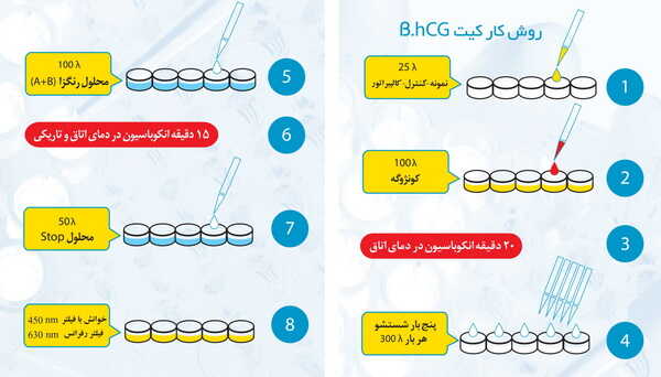 روش کار با کیت تشخیص بارداری - اندازه گیری میزان hcg 