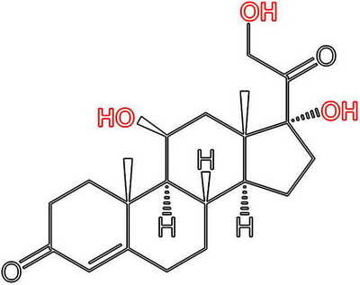 ساختار شیمیایی هورمون کورتیزول-آزمایش کورتیزول