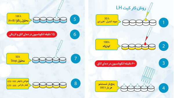 روش کار با کیت بارداری - کیت هورمون لوتئینه کننده LH