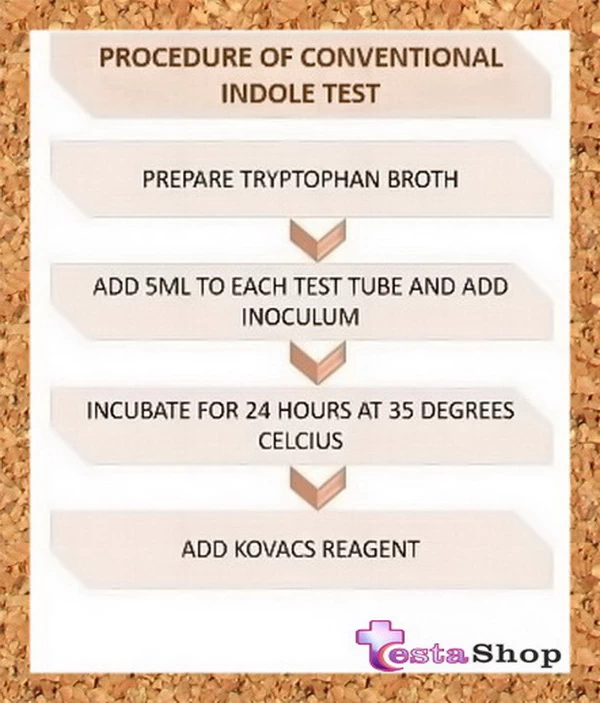 معرف ایندول کواکس | آزمایش ایندول 3 Indol test steps