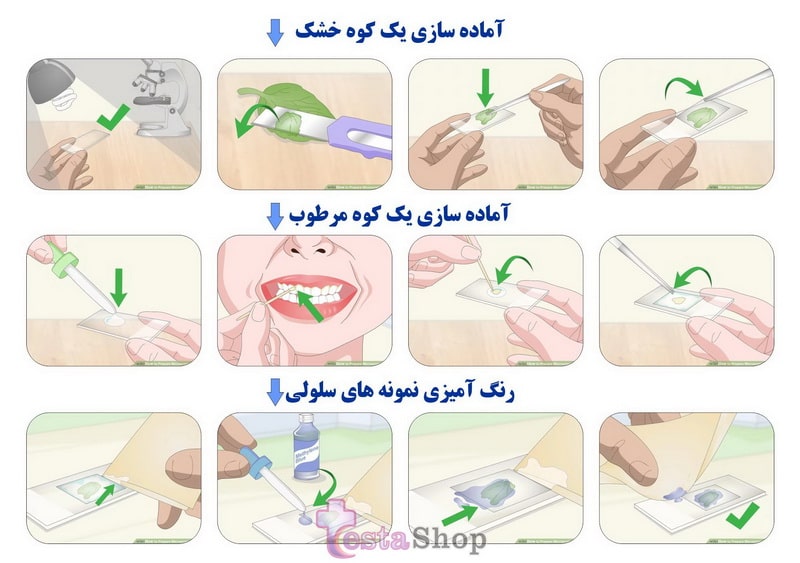 روش آماده سازی لام آزمایشگاهی