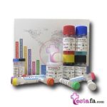 معرفی کیت الیزای DHEA-S مونوسنت ویژه آزمایش دهیدرواپی آندروسترون