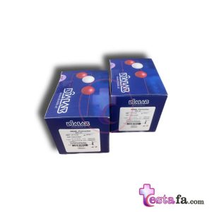 Iron Ferrozine - کیت آهن دیالب - معرف تشخیصی آهن سرم