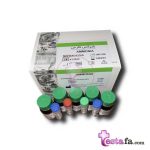 Ammonia kit - کیت آمونیاک بایرکس فارس - کیت تعیین کمی آمونیا