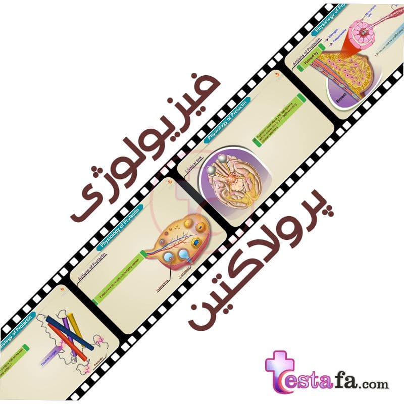 فیزیولوژی پرولاکتین - ویدیو انیمیشن پرولاکتین
