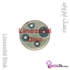 آنتی بیوگرام Linezolid کندالب - دیسک لینزولید LZD پادتن طب