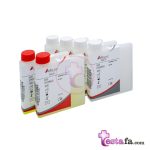 کیت GGT - آزمایش گاما گلوتامیل ترانسفراز - کیت گاما جی تی