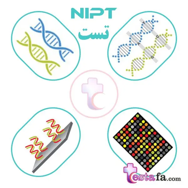 تست NIPT - آزمایش ژنتیک جنین - آزمایش قبل از تولد