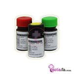 کیت Total Hemoglobin - کیت توتال هموگلوبین زیست شیمی - هموگلوبین تام tHb
