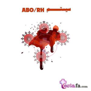 انواع گروه های خونی در سیستم ABO و سیستم RH