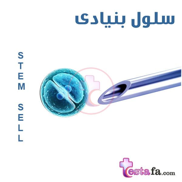 انواع سلول های بنیادی - جنینی - بالغ - مزانشیمی - مغز استخوان