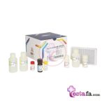 کیت الایزا فاسیولا هپاتیکا پیشتاز طب - Fasciola hepatica IgG