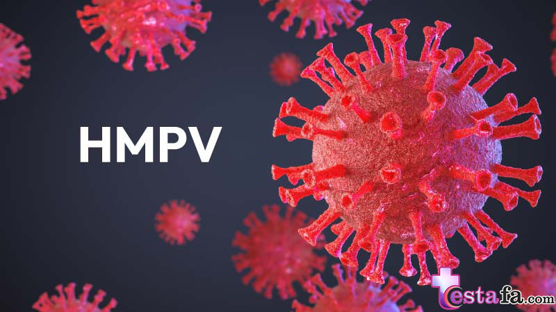 متاپنوموویروس انسانی (HMPV)