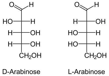 دیسک آرابینوز (Arabinose Disk) | پادتن طب 1 DL Arabinose.svg