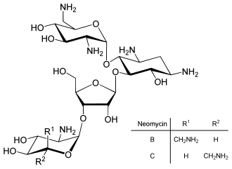 دیسک نئومایسین (Neomycin Disk) – پادتن طب 1 Neomycin B C.svg