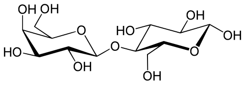 دیسک لاکتوز (Lactose Fermentation Disk) | پادتن طب 1 Beta D Lactose.svg