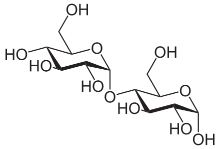 دیسک مالتوز (Maltose Disk) | پادتن طب 1 Maltose2.svg
