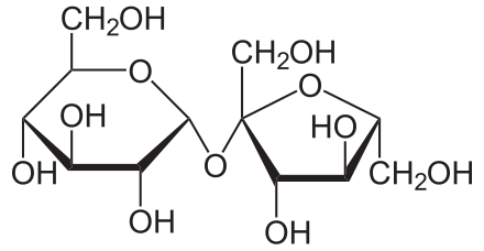 دیسک سوکروز (Sucrose Fermentation Disk) | پادتن طب 1 Saccharose2.svg