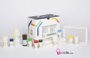 کیت سنجش TSH (96 تستی) الایزا