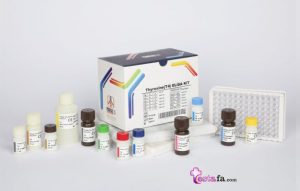 کیت سنجش هورمون T4 (192 تستی) الایزا