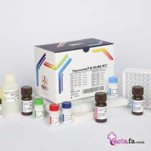 کیت سنجش هورمون T4 (192 تستی) الایزا
