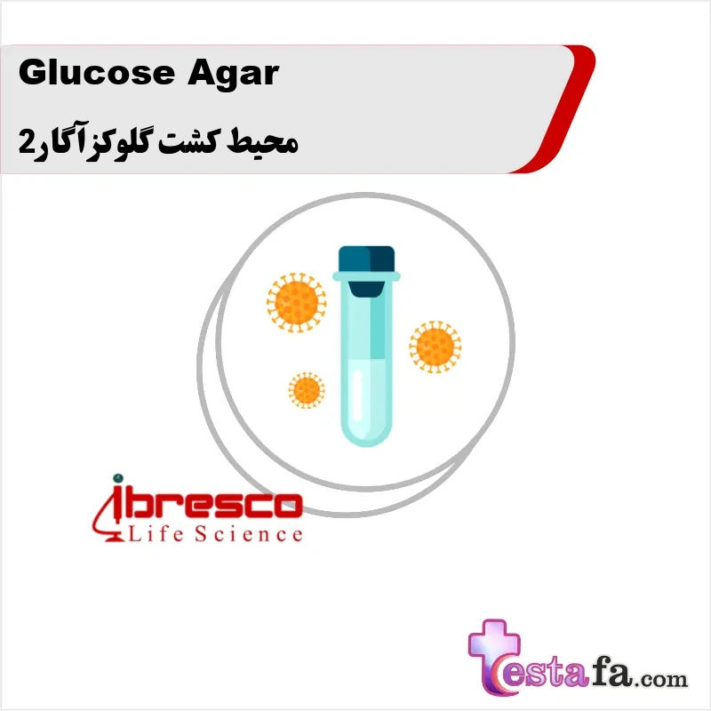 131_Glucose-Agar محیط کشت گلوکز آگار 2 - Image 1