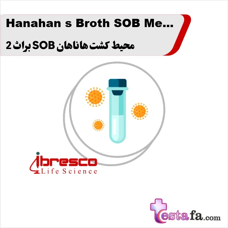 137_Hanahan-s-Broth-SOB-Medium محیط کشت هاناهان SOB براث 2 - Image 1