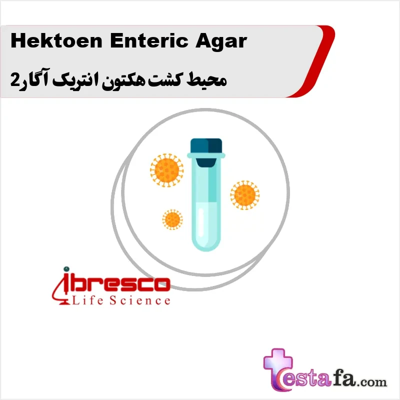 140_Hektoen-Enteric-Agar محیط کشت هکتون انتریک آگار 2 - Image 1
