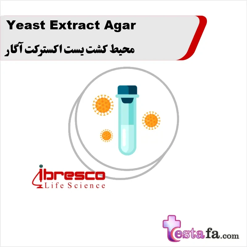 227_Yeast-Extract-Agar محیط کشت یست اکسترکت آگار - Image 1
