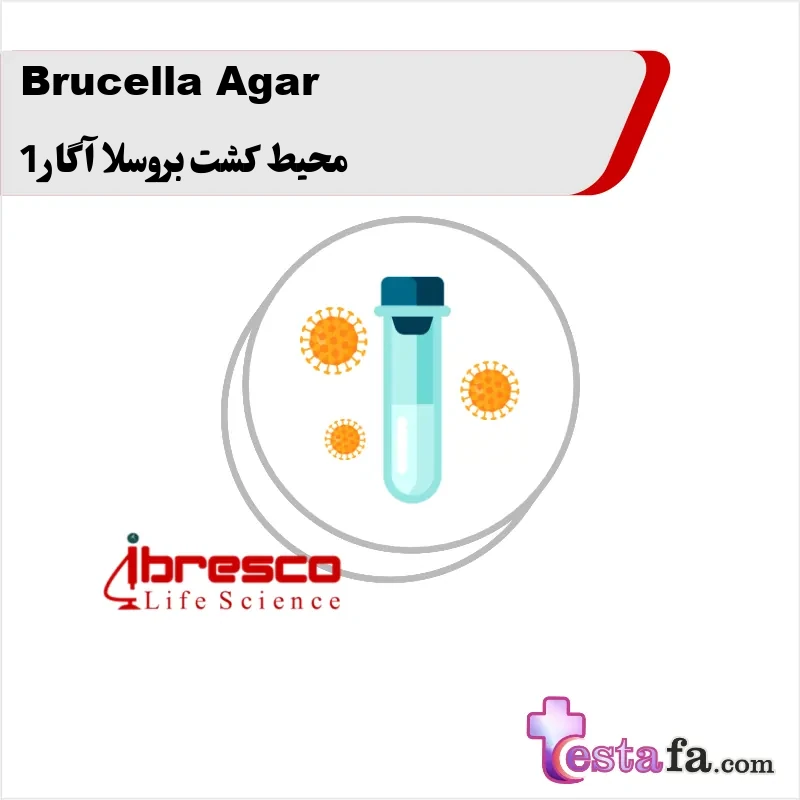 34_Brucella-Agar محیط کشت بروسلا آگار 1 - Image 1